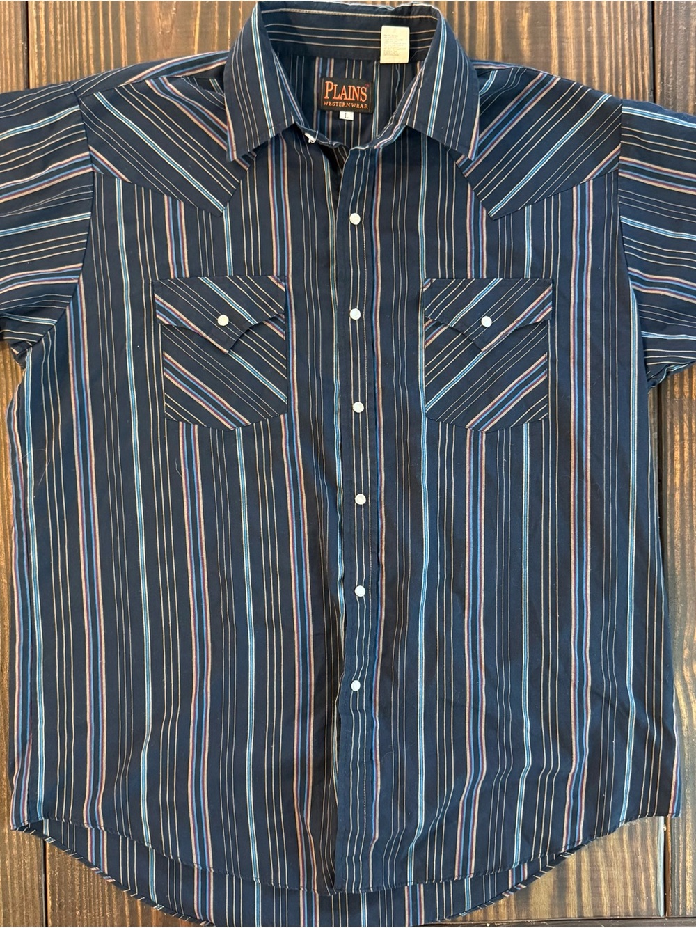 Plains Western Men's Navy Stripe Pearl Snap Shirt